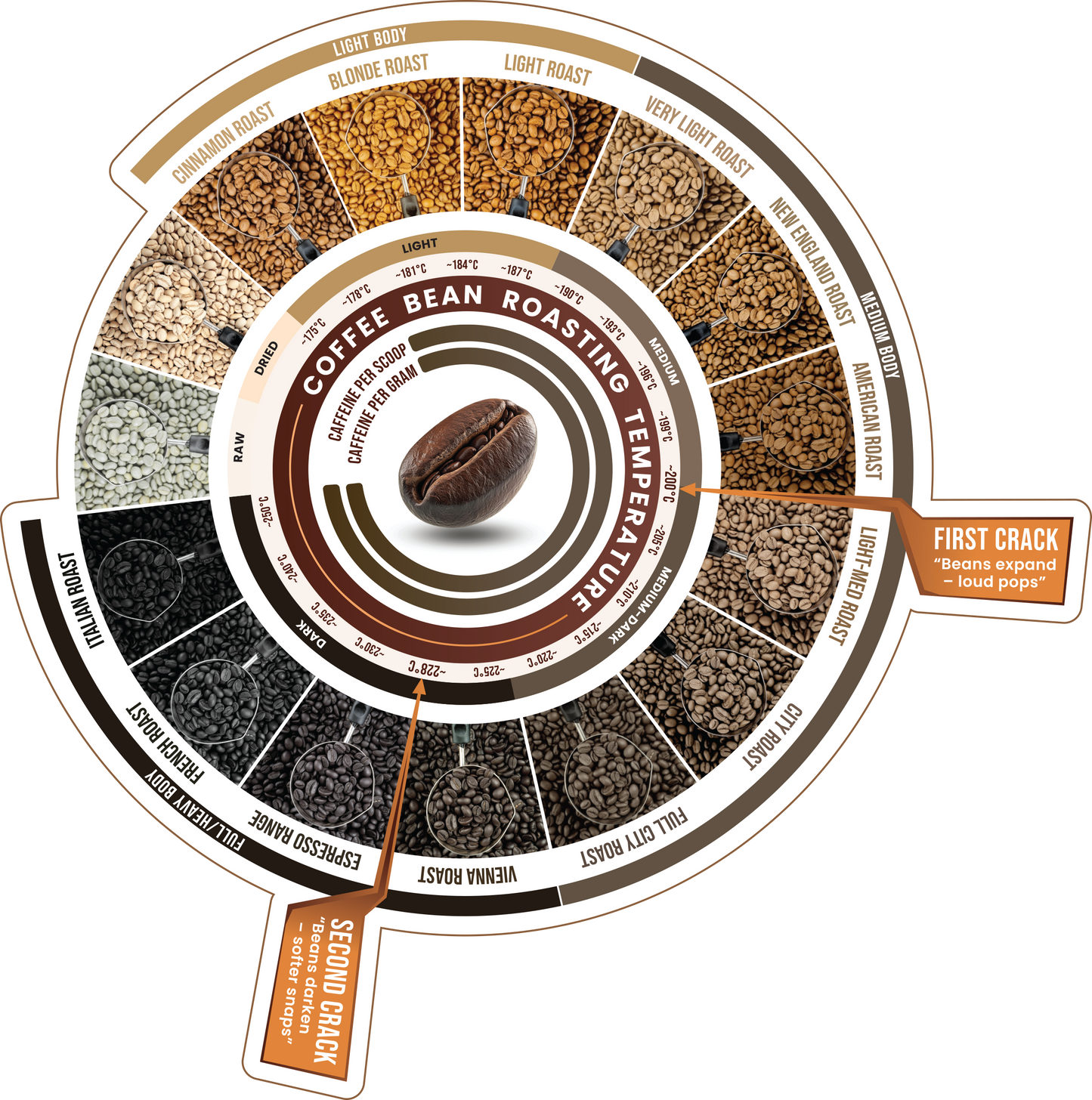 Roast Level Wheel Sticker + Know Your Brew Playbook